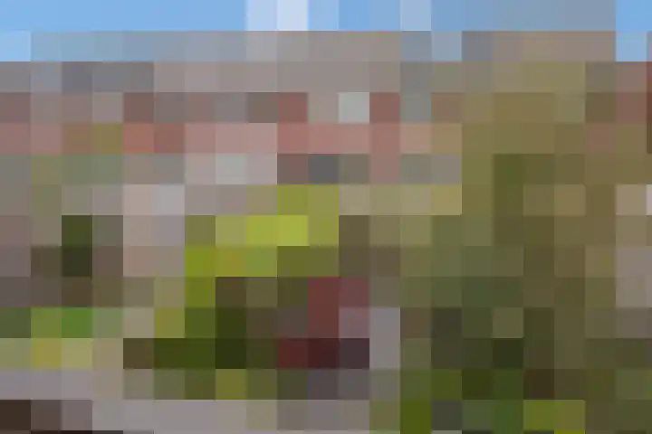 Kortenhoeve 20 Delft thumbnail 25