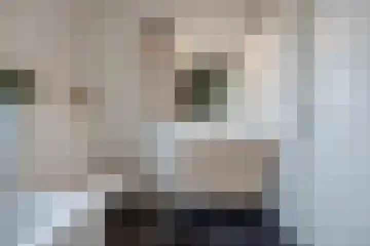 Kortenhoeve 20 Delft thumbnail 29