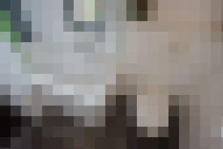 Kortenhoeve 20 Delft thumbnail 31