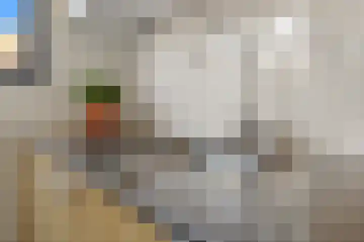 Kortenhoeve 26 Delft thumbnail 18