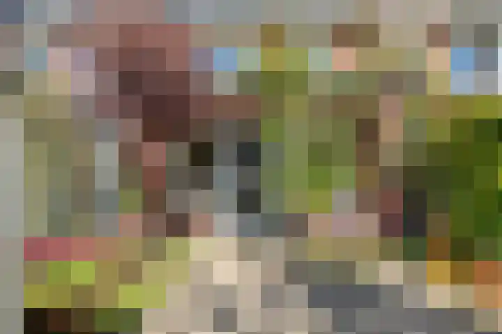 Kortenhoeve 26 Delft thumbnail 9