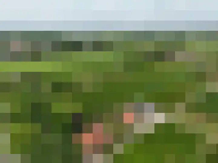 Kortenhoevenseweg 147 Lexmond foto 2