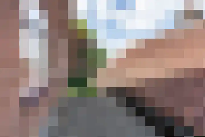 Kortenhoevenseweg 147 Lexmond thumbnail 38