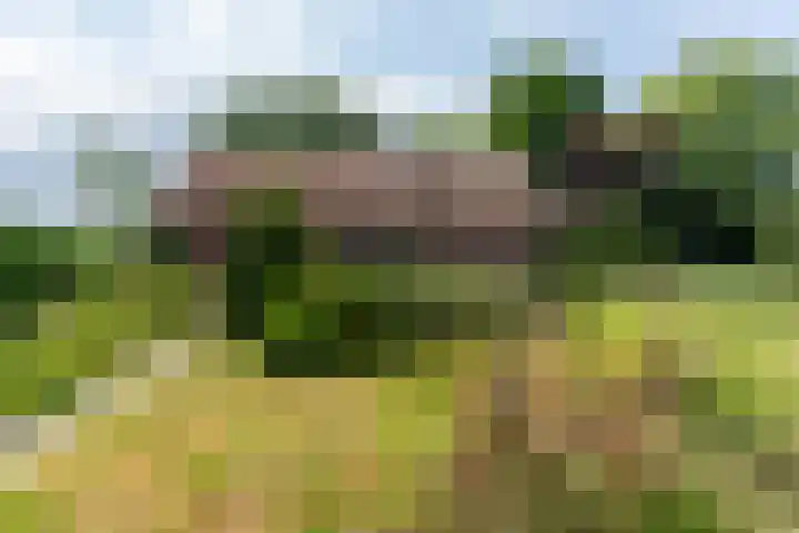 Kortenhoevenseweg 147 Lexmond thumbnail 56
