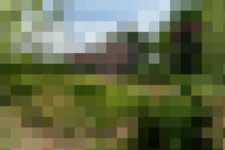 Kortenhoevenseweg 147 Lexmond thumbnail 57
