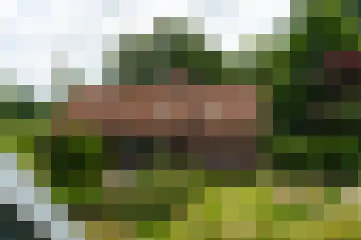 Kortenhoevenseweg 147 Lexmond thumbnail 58