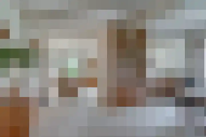 Kortenhoevenseweg 147 Lexmond thumbnail 6