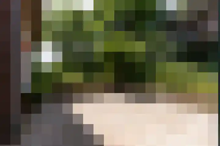 Kortenhoevenseweg 147 Lexmond thumbnail 60
