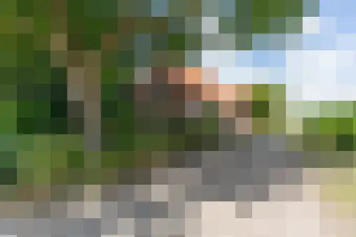 Kortenhoevenseweg 147 Lexmond thumbnail 62