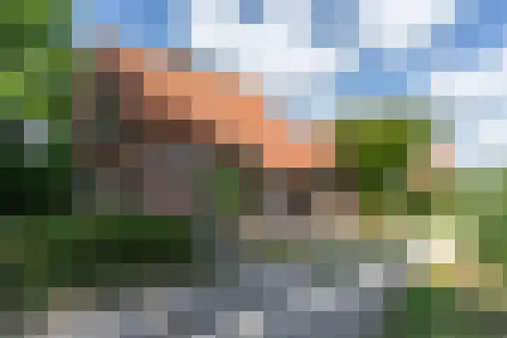 Kortenhoevenseweg 147 Lexmond thumbnail 63