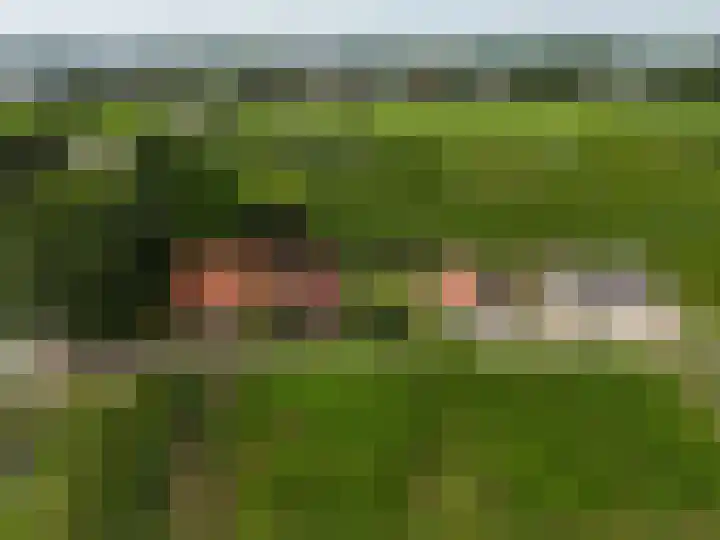 Kortenhoevenseweg 147 Lexmond thumbnail 64