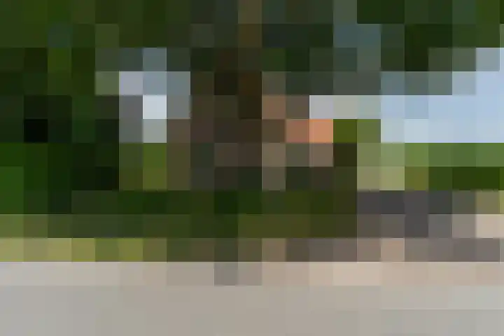 Kortenhoevenseweg 147 Lexmond thumbnail 67