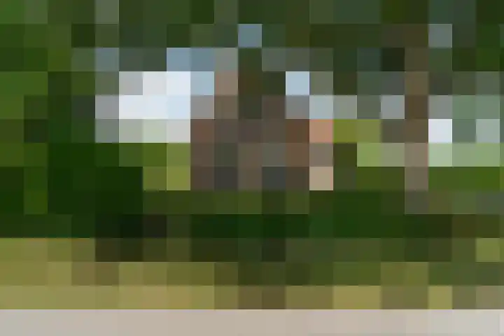 Kortenhoevenseweg 147 Lexmond thumbnail 68