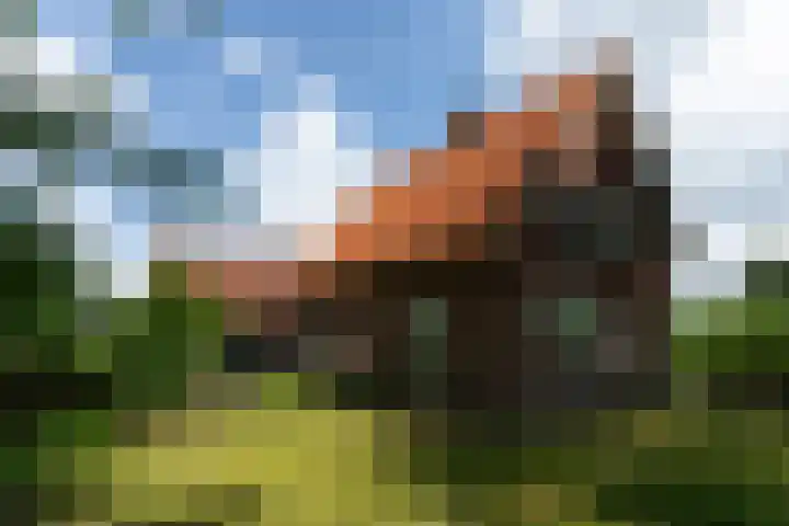 Kortenhoevenseweg 147 Lexmond thumbnail 69