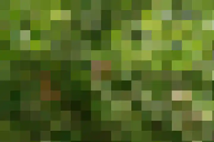 Kortenhoevenseweg 147 Lexmond thumbnail 70