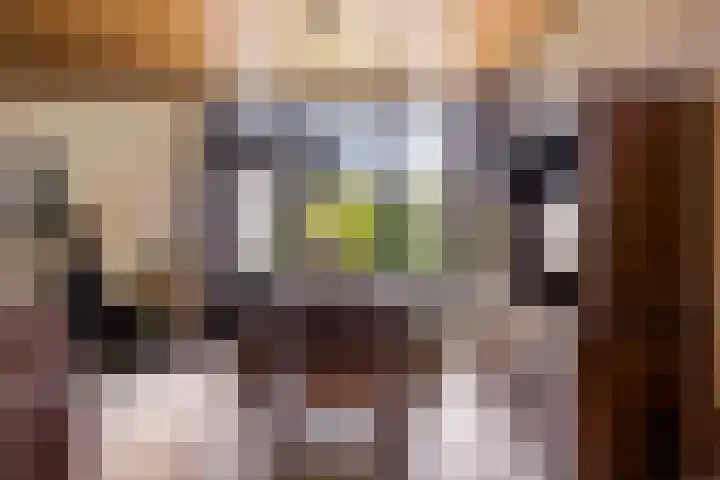 Kortenhorststraat 10 Oss thumbnail 13
