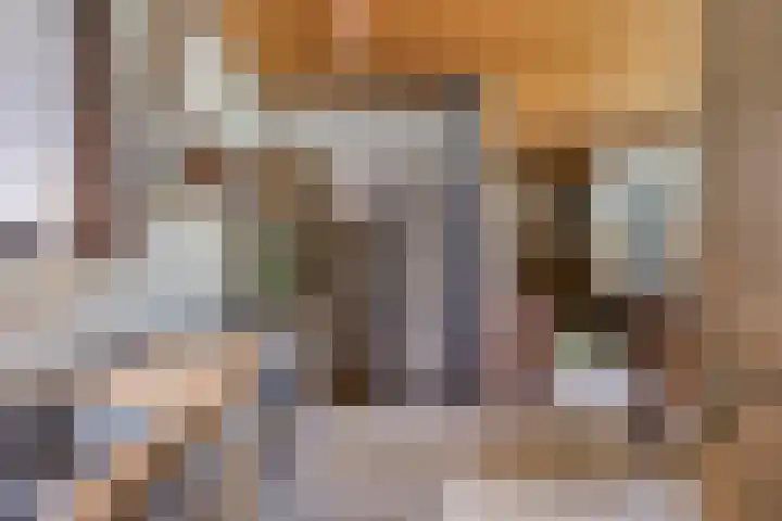 Kortenhorststraat 10 Oss thumbnail 15