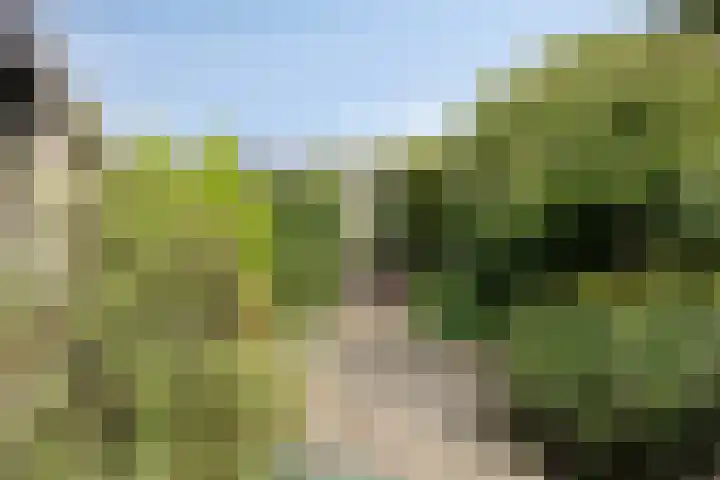 Kortenhorststraat 10 Oss thumbnail 27