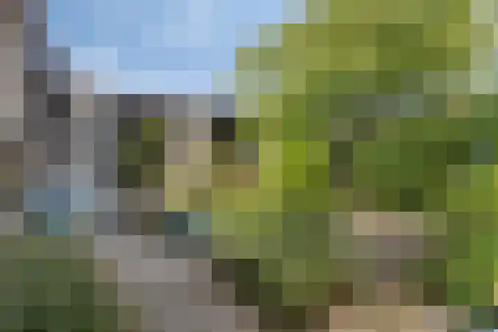 Kortenhorststraat 10 Oss thumbnail 29