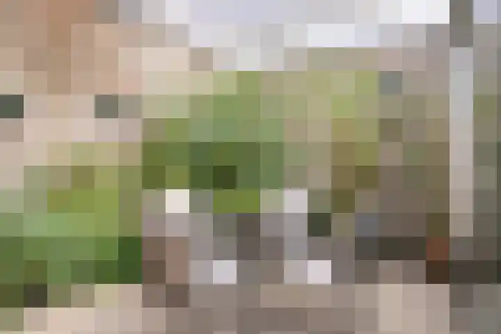 Kortenhorststraat 10 Oss thumbnail 31