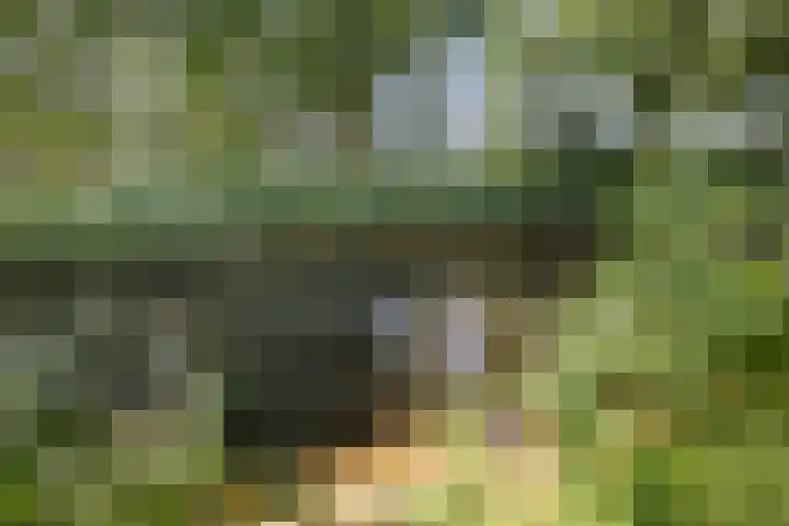Kortenhorststraat 10 Oss thumbnail 37