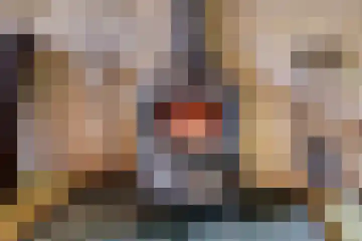 Kortenhorststraat 10 Oss thumbnail 9