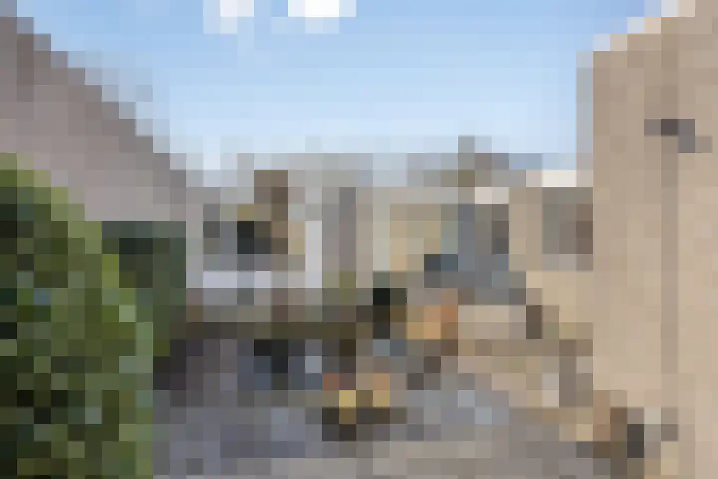Kortenhorststraat 6 Oss thumbnail 21