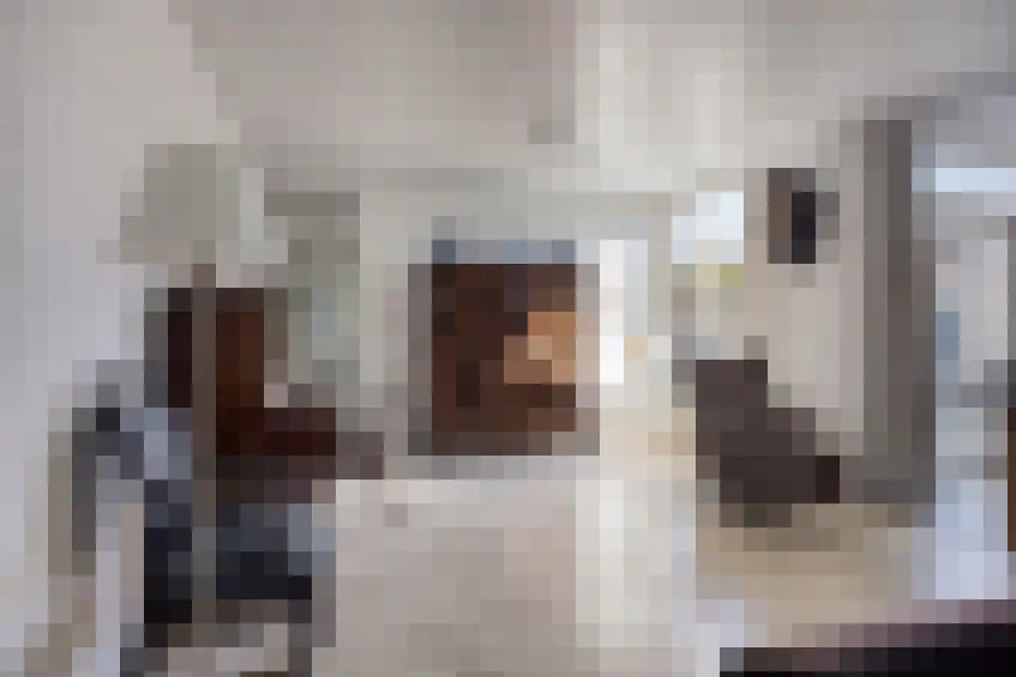 Kortenhorststraat 6 Oss thumbnail 5