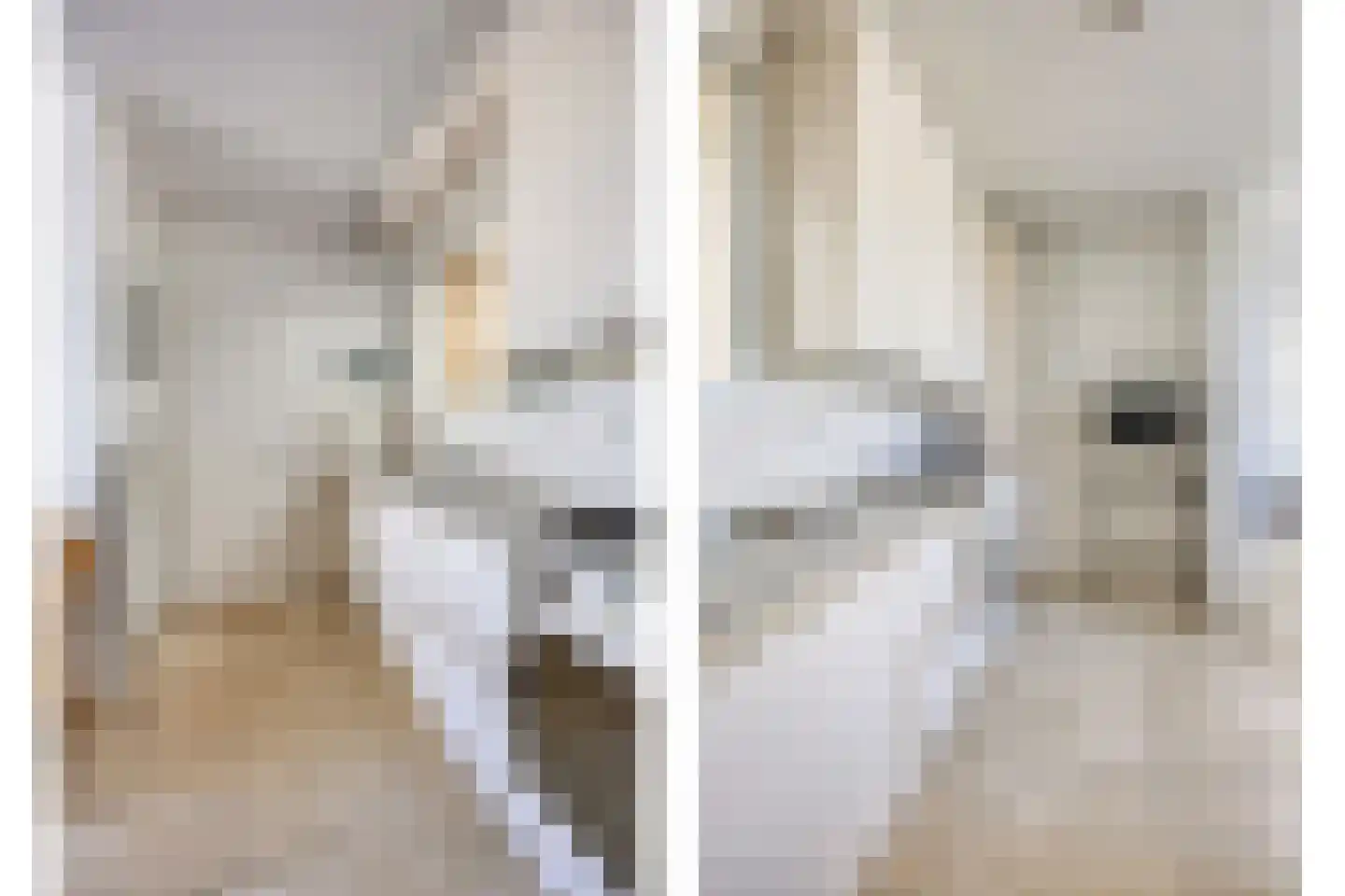 Kortenhorststraat 6 Oss thumbnail 7