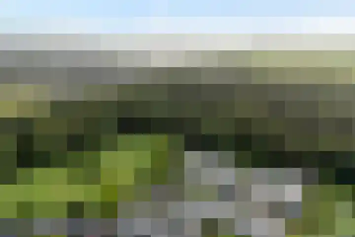 Kortenhorststraat 62 Zwolle thumbnail 6