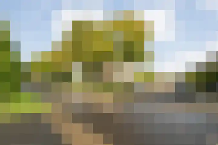 Kortenhorststraat 62 Zwolle thumbnail 7