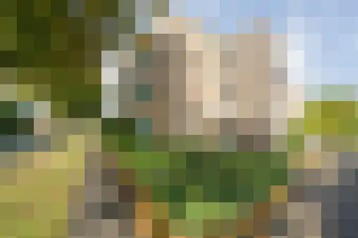 Kortenhorststraat 62 Zwolle thumbnail 8