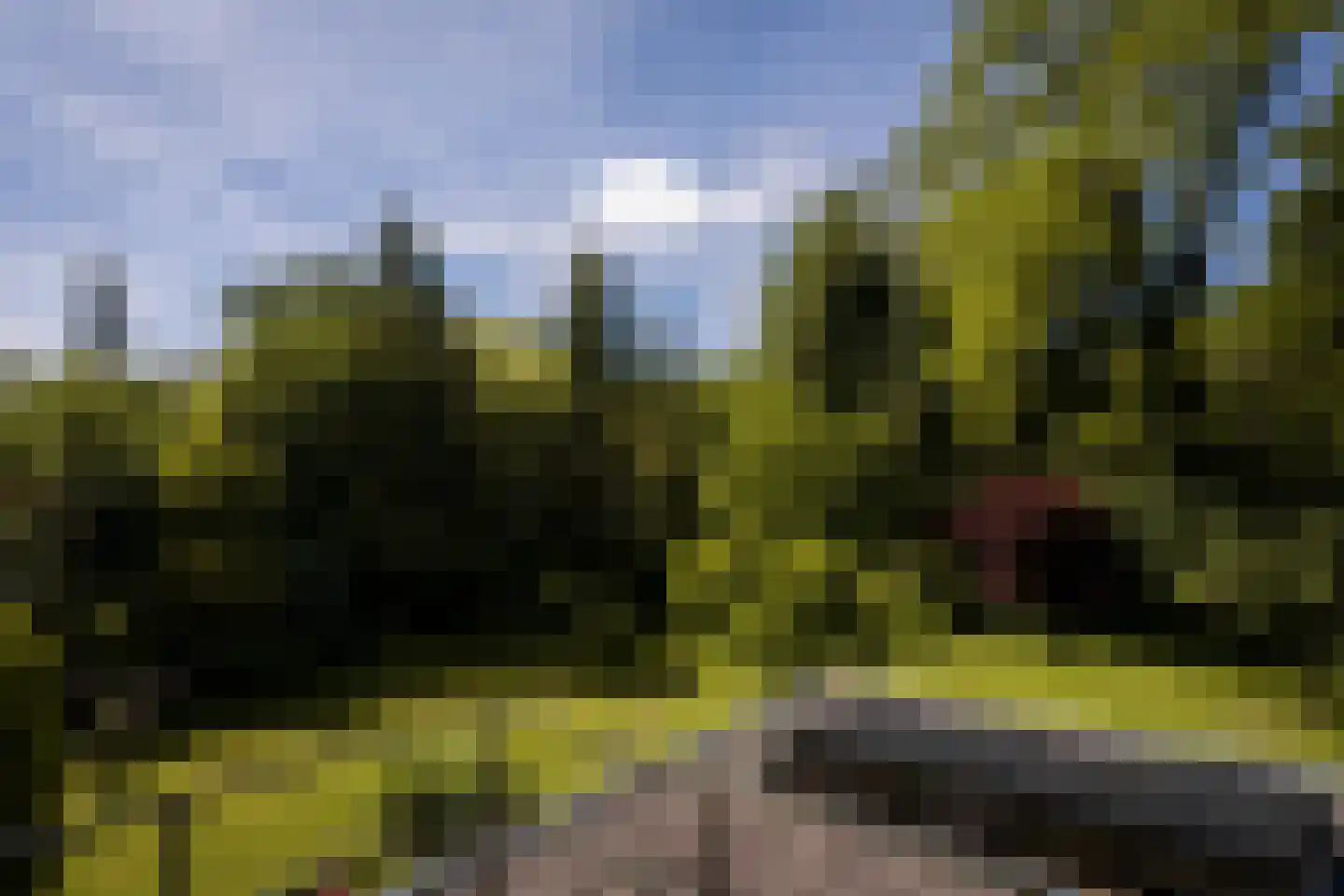 Kortenkampweg 1 Epe thumbnail 30