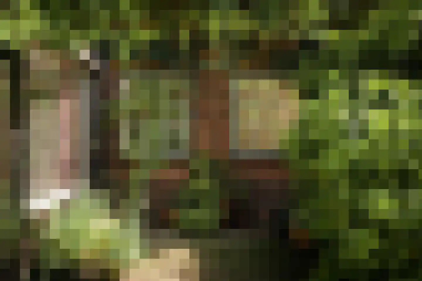 Kortenkampweg 1 Epe thumbnail 35