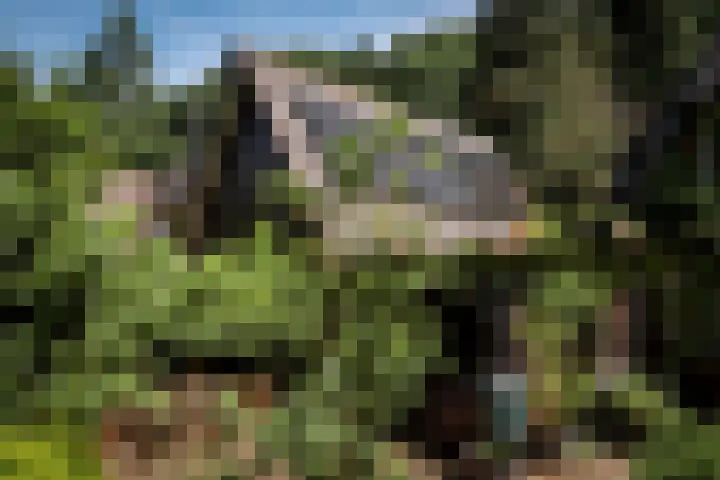 Kortenkampweg 1 Epe thumbnail 37