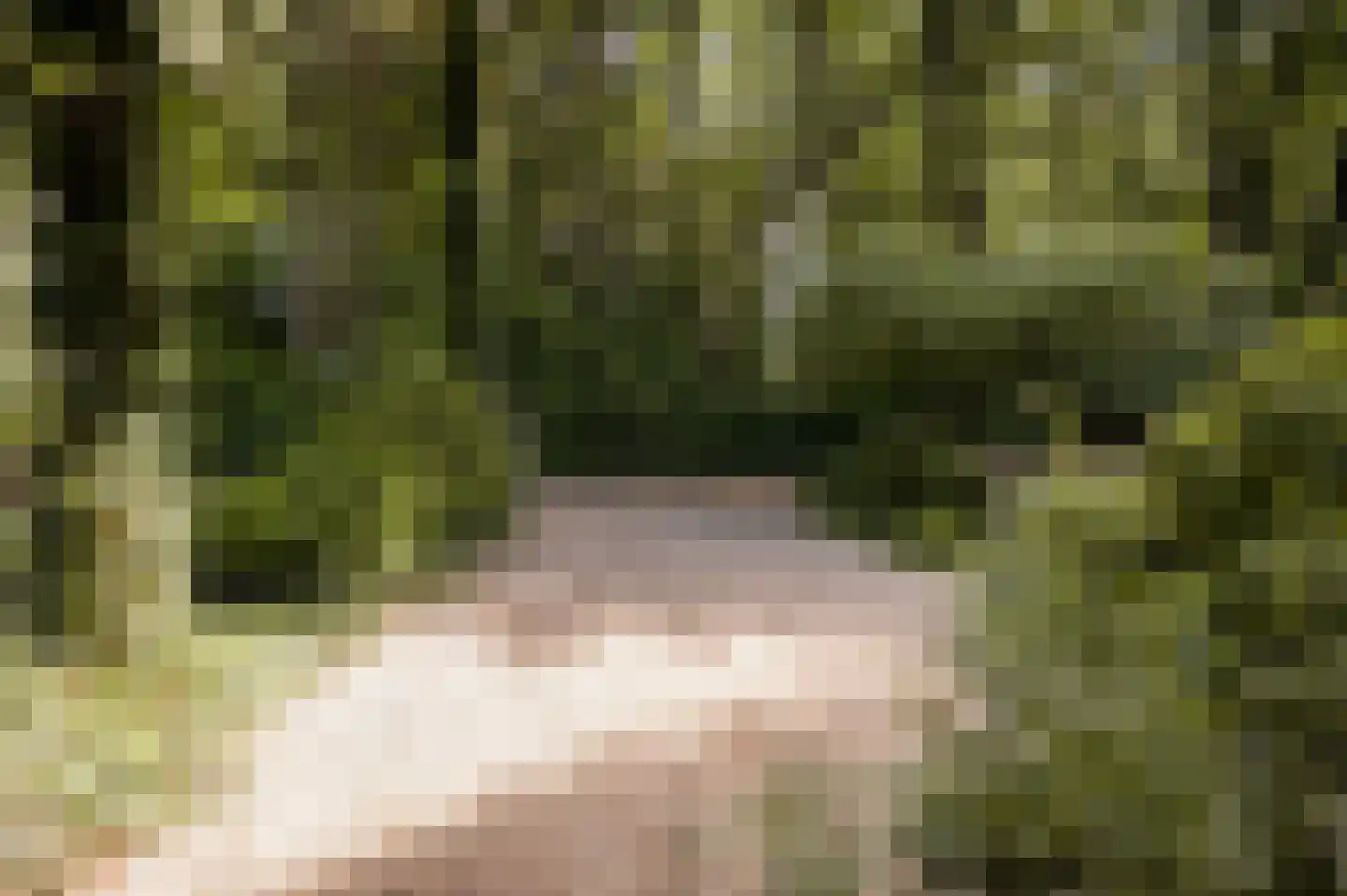 Kortenkampweg 1 Epe thumbnail 4