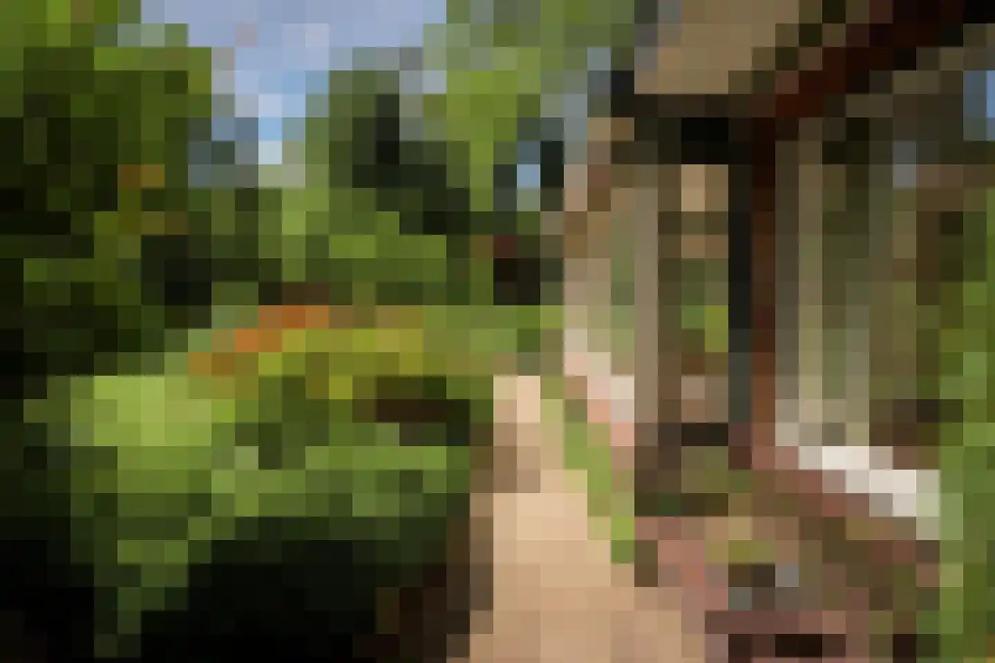 Kortenkampweg 1 Epe thumbnail 40