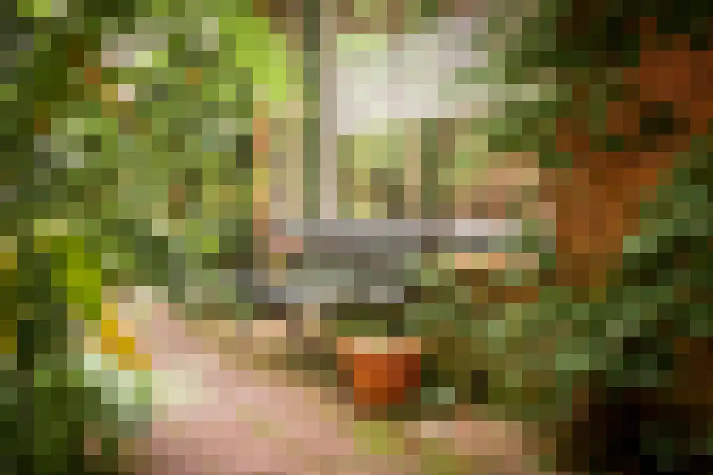 Kortenkampweg 1 Epe thumbnail 41