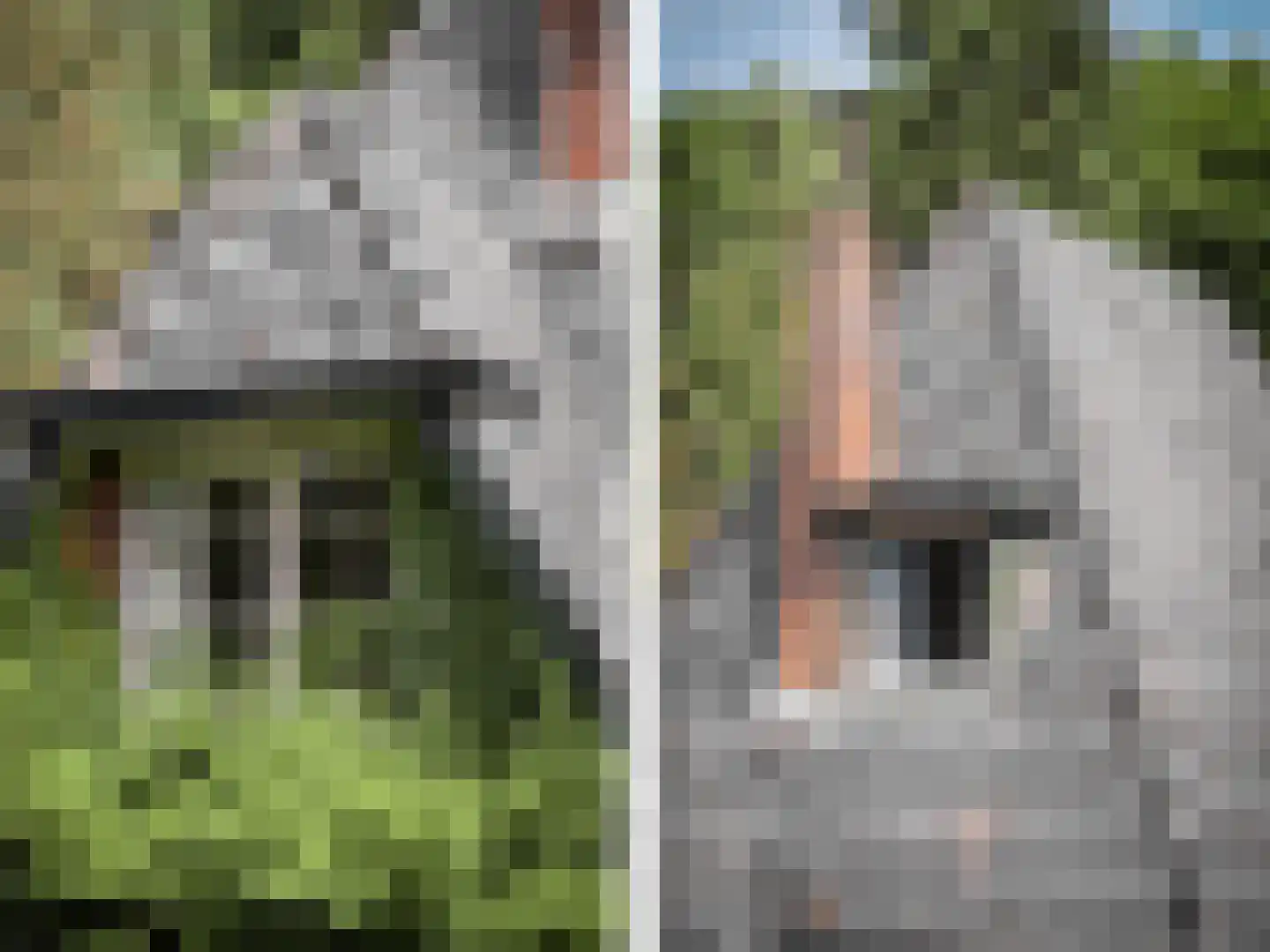 Kortenkampweg 1 Epe thumbnail 42