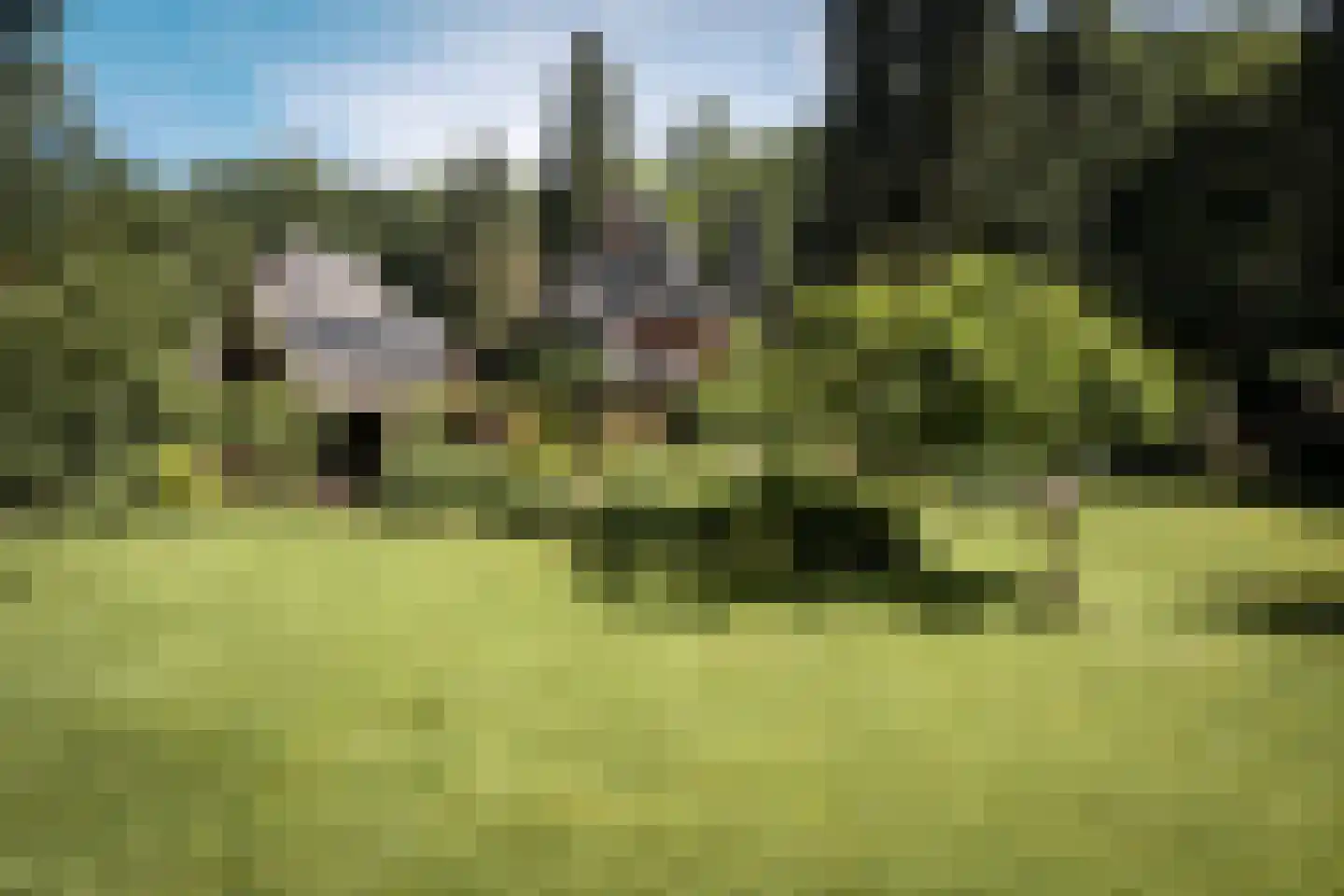 Kortenkampweg 1 Epe thumbnail 44