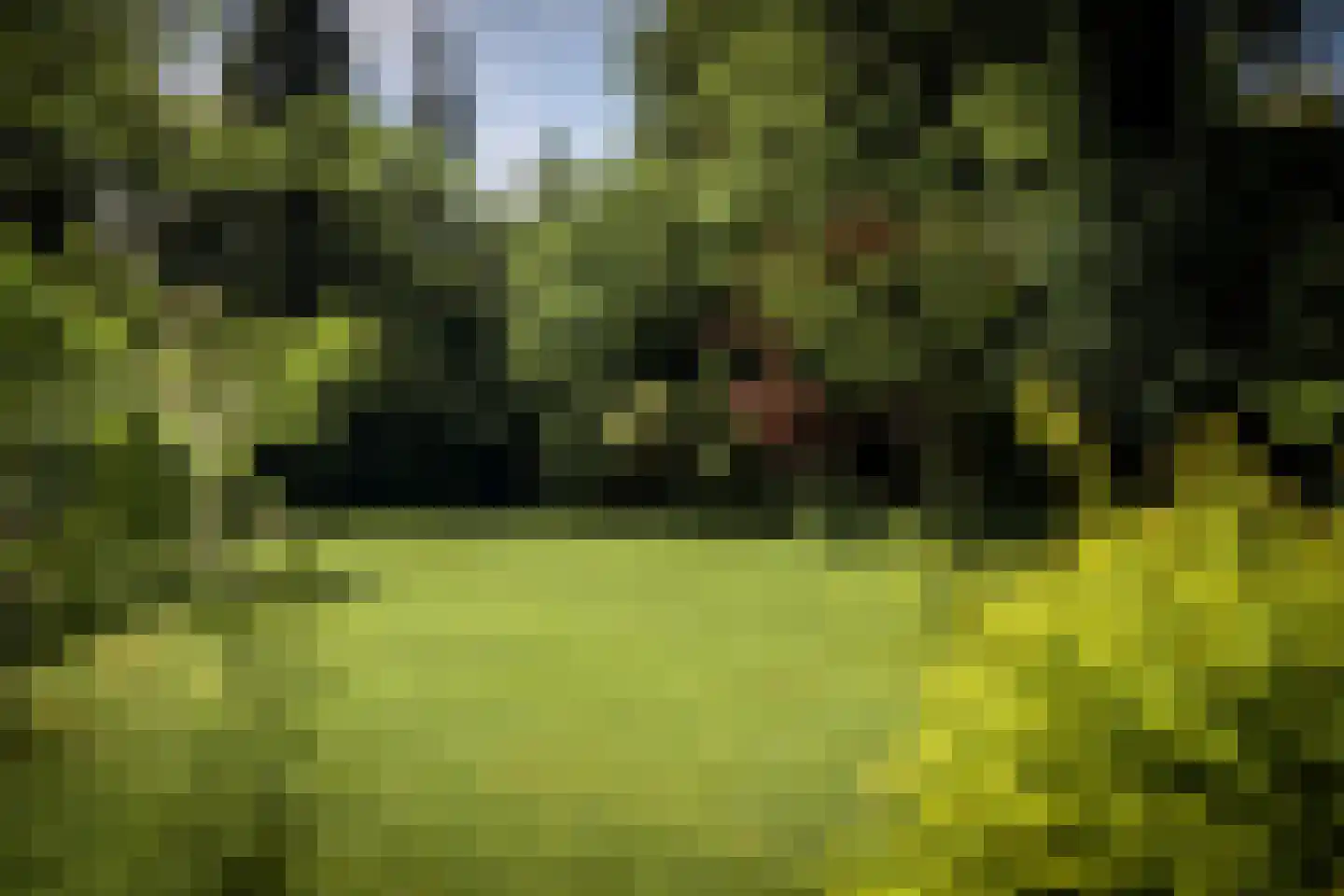 Kortenkampweg 1 Epe thumbnail 46