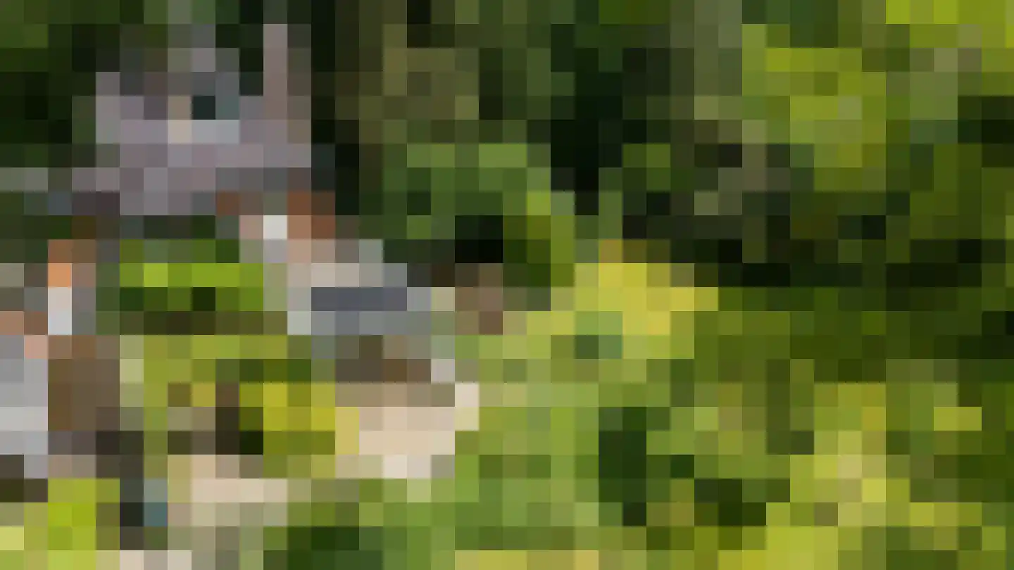 Kortenkampweg 1 Epe thumbnail 47