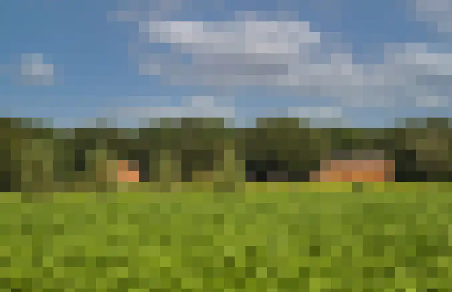 Kortenroelefsweg 2 Haaksbergen thumbnail 10
