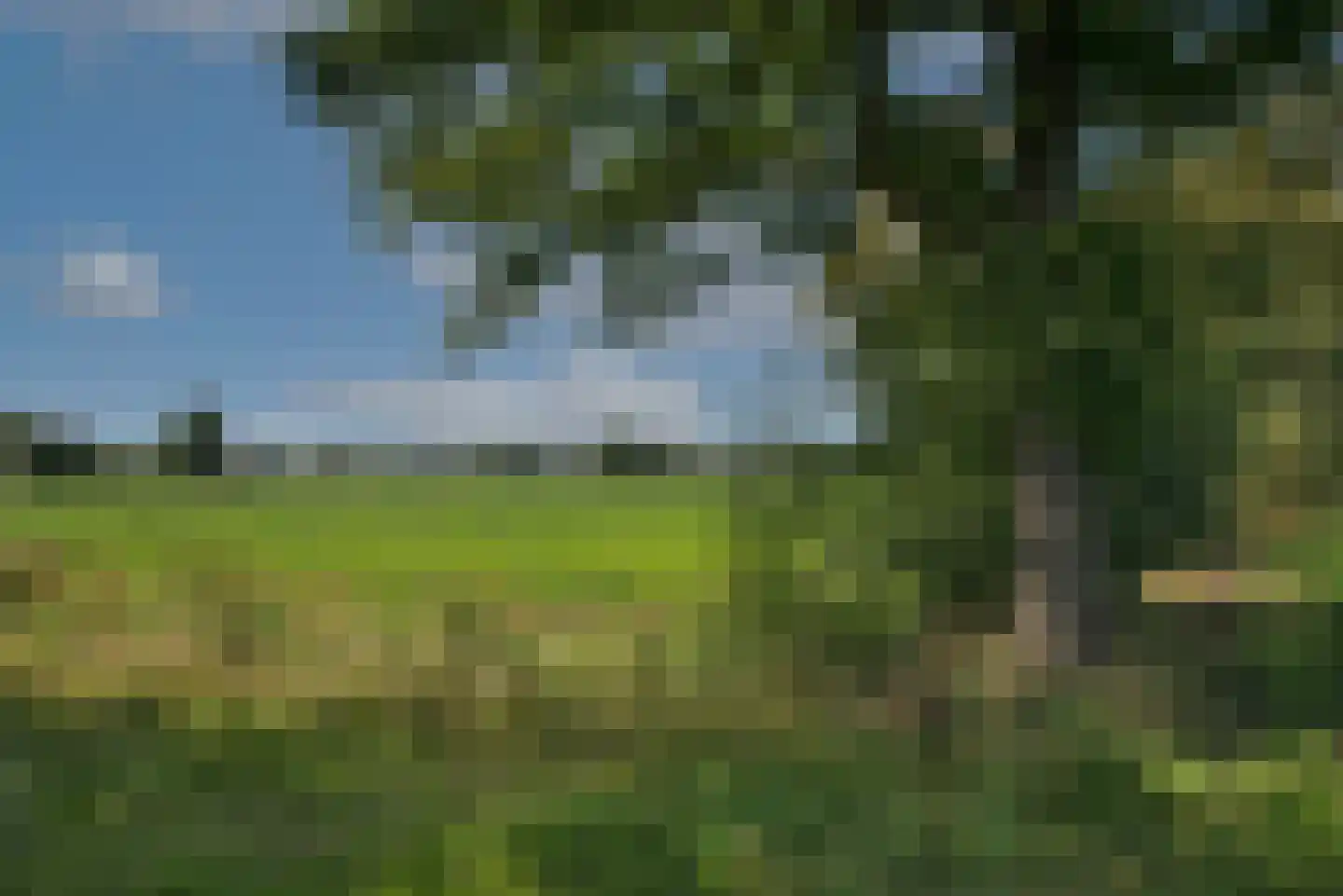 Kortenroelefsweg 2 Haaksbergen thumbnail 11