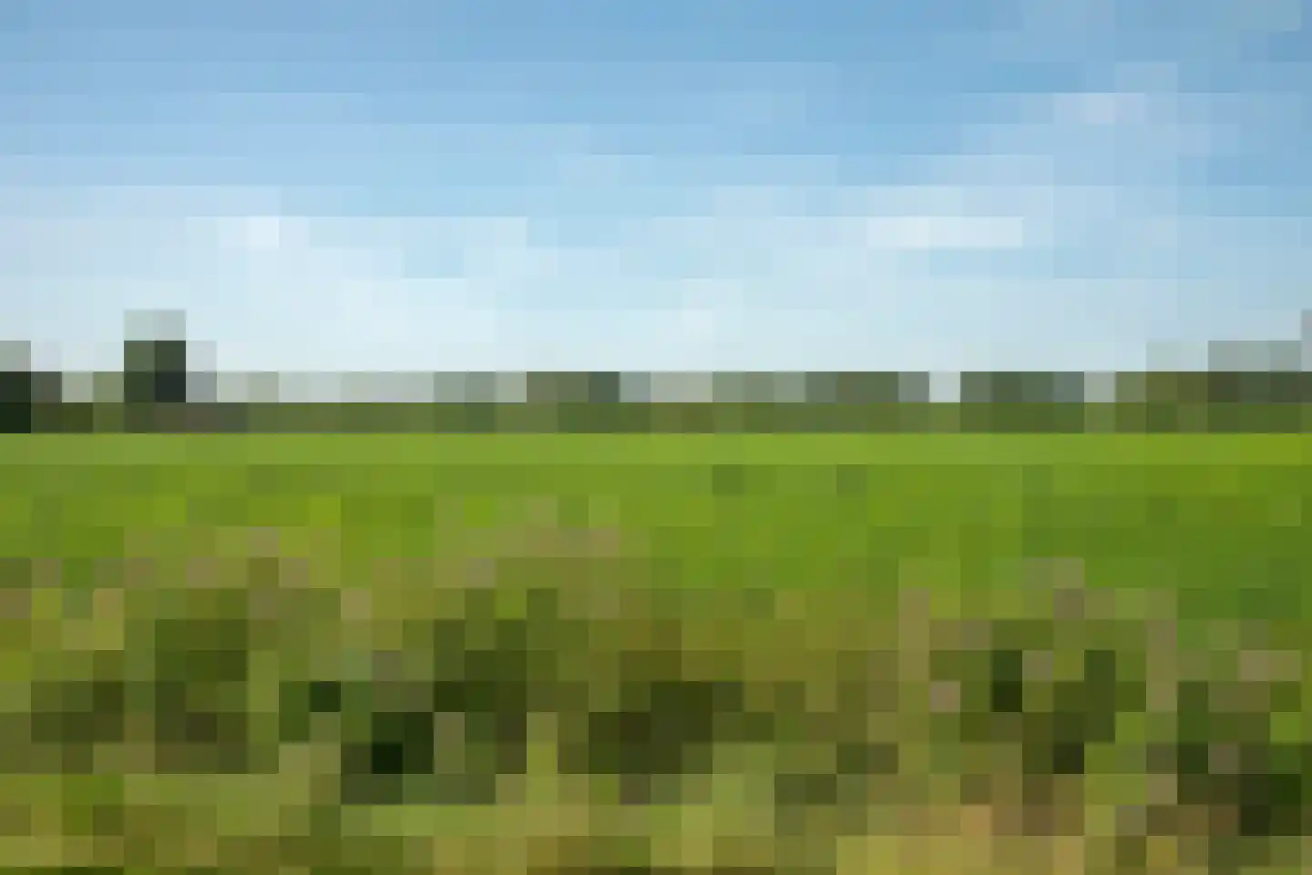 Kortenroelefsweg 2 Haaksbergen thumbnail 12