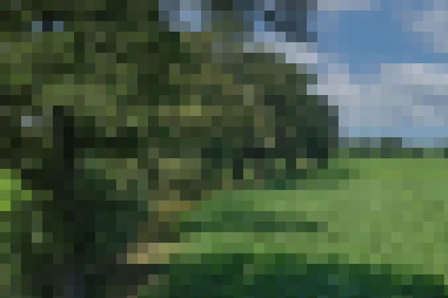 Kortenroelefsweg 2 Haaksbergen thumbnail 17