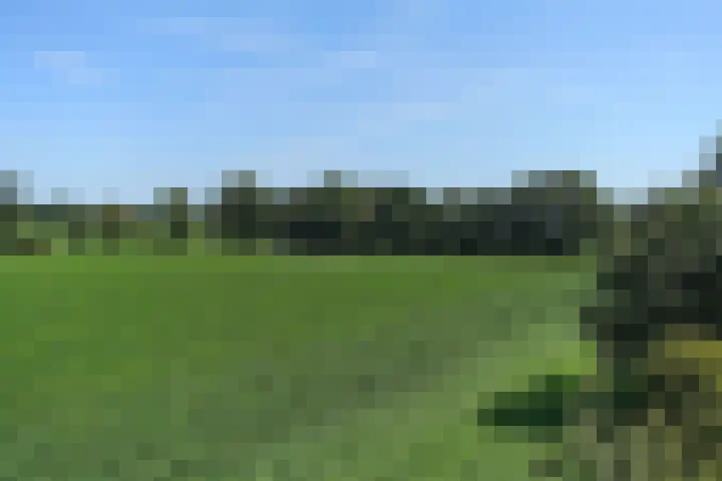 Kortenroelefsweg 2 Haaksbergen thumbnail 19