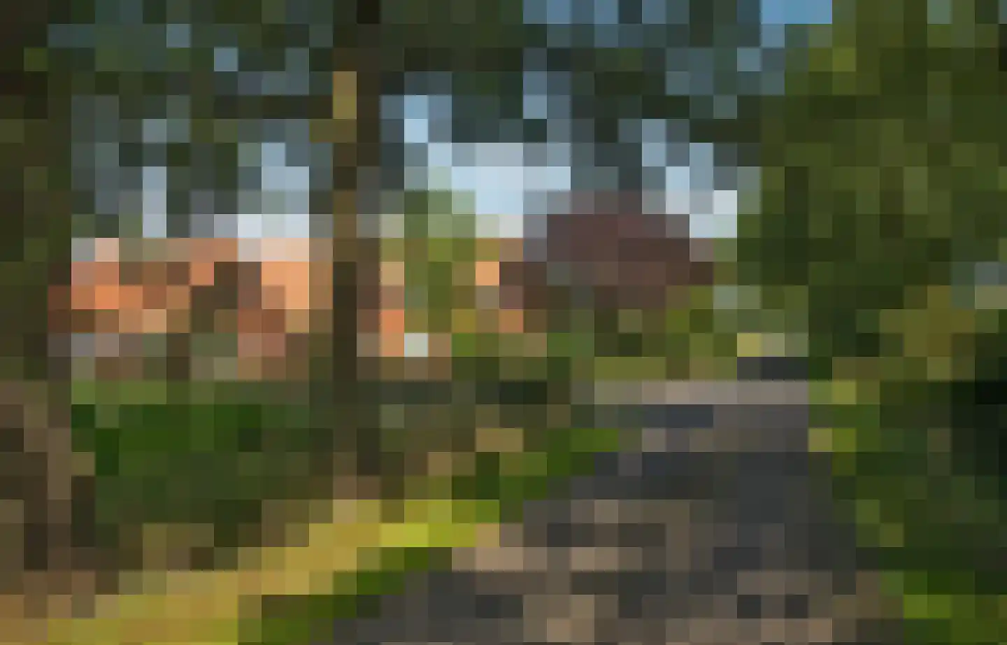 Kortenroelefsweg 2 Haaksbergen thumbnail 22
