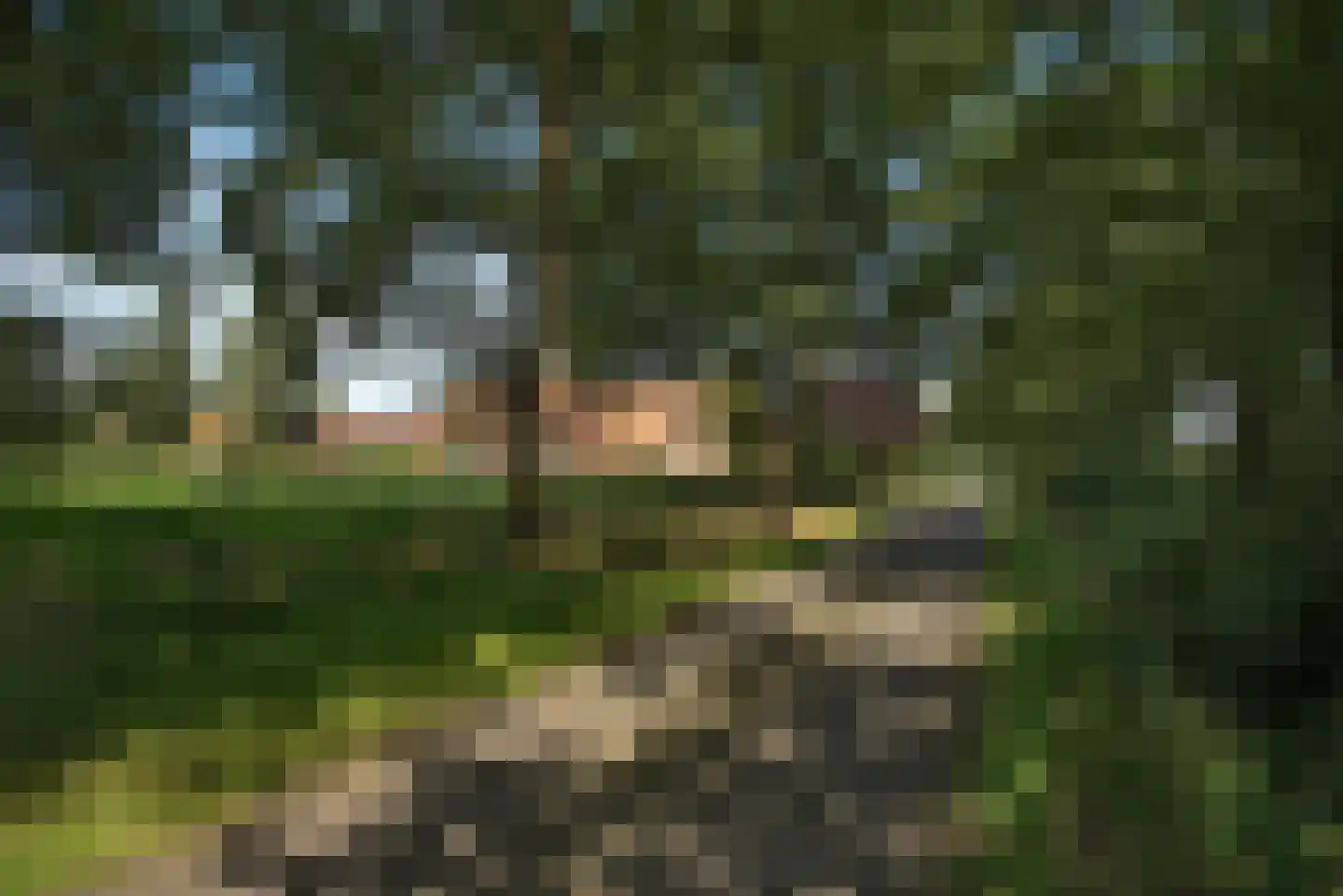 Kortenroelefsweg 2 Haaksbergen thumbnail 24