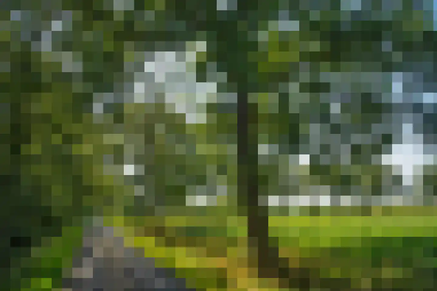 Kortenroelefsweg 2 Haaksbergen thumbnail 25